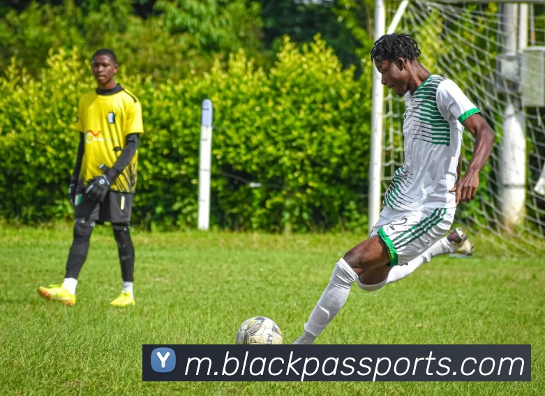 体育下注品牌故事